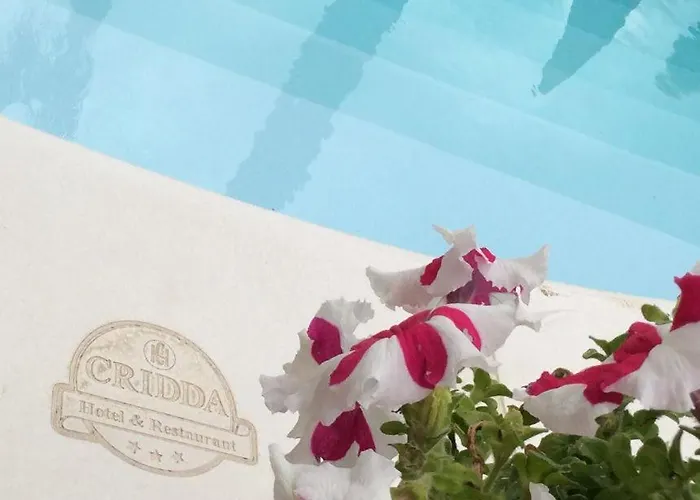 Cridda & Restaurant Gizzeria