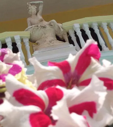 Cridda & Restaurant Gizzeria