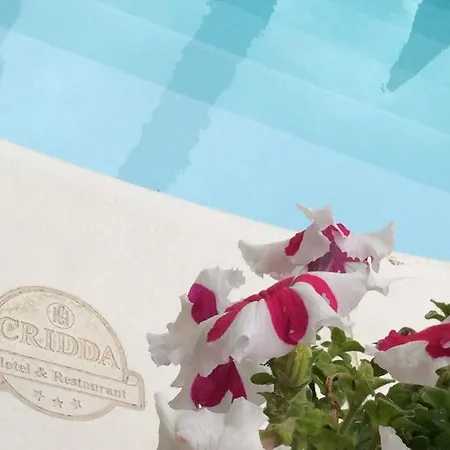 Cridda & Restaurant Gizzeria